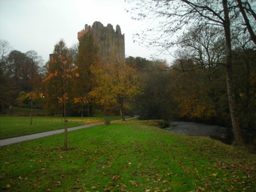 That's Blarney Castle in the background. The Stone sits on top, set into the ramparts. If it looks like a long, tiring climb up to that elevation, that's because it is.